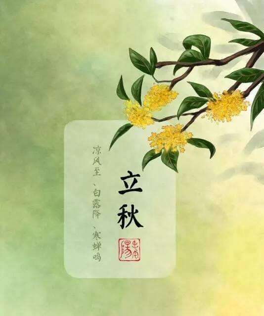 第367页