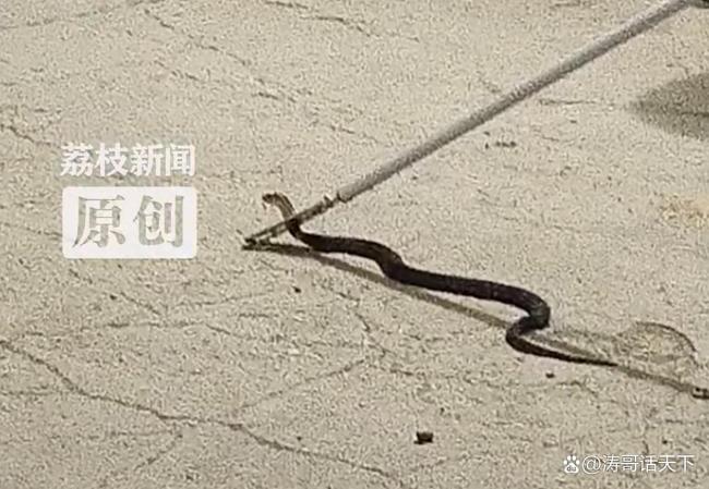 第318页